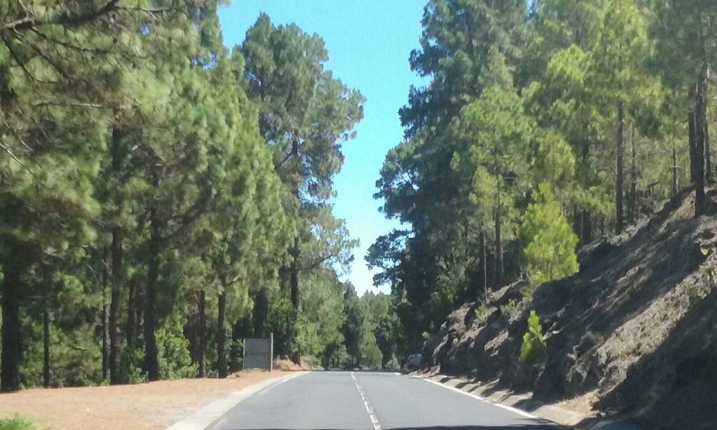 הוילה San Jose De Los Llanos Casa El Brezo מראה חיצוני תמונה